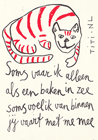 soms vaar ik alleen met kat
