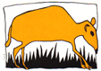 kantjil