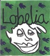 Lobelia