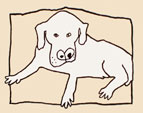 witte hond