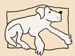 witte hond met de neus in de lucht