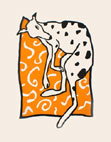 gestippelde hond